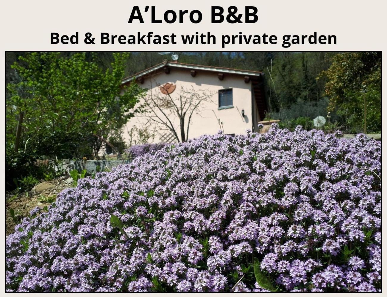A'Loro B&B Террануова-Браччолини Экстерьер фото