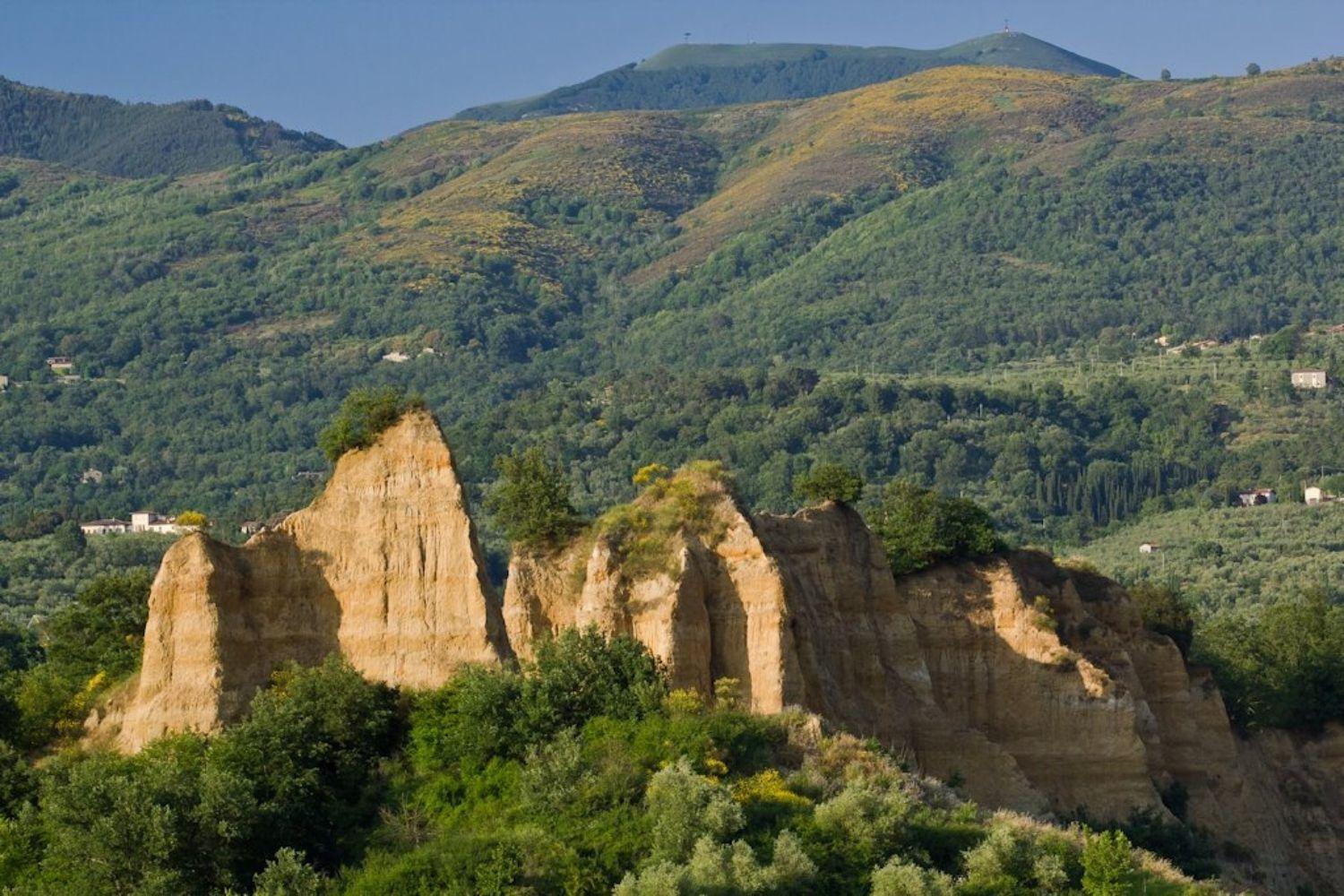 A'Loro B&B Террануова-Браччолини Экстерьер фото